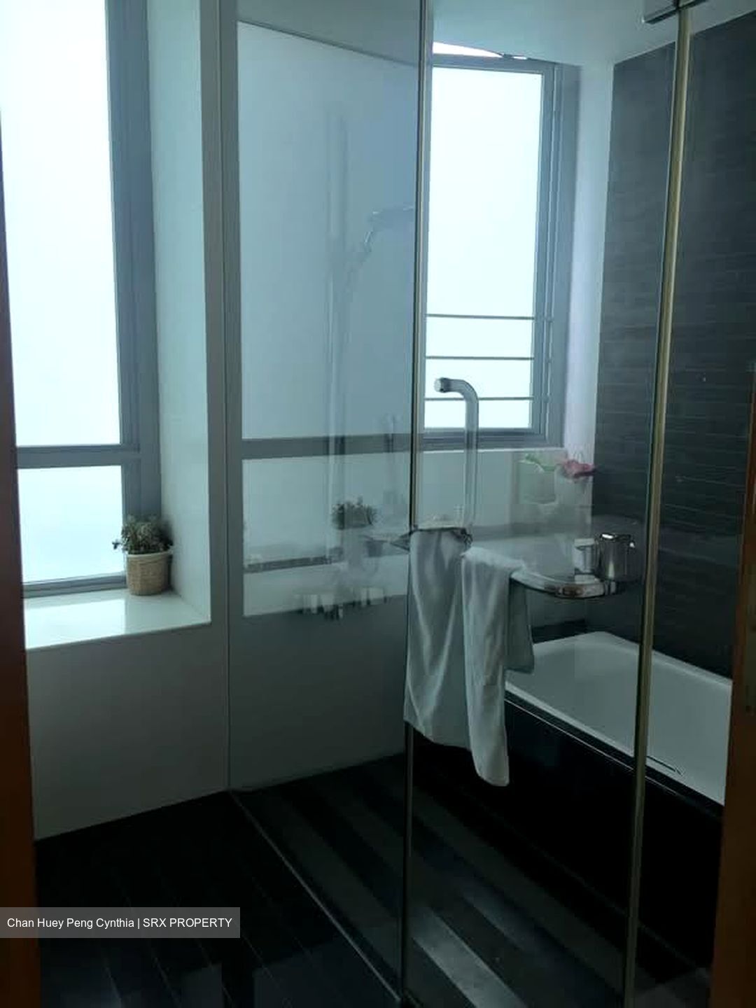 Park Infinia At Wee Nam (D11), Condominium #576683911